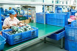 Packaging Workshop